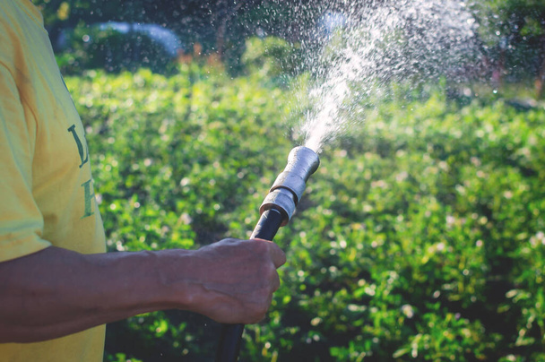 Рука пожилого человека с поливающимся шлангом, поток воды выливает газон в сад днем крупным планом, избирательным фокусом - Фото, изображение