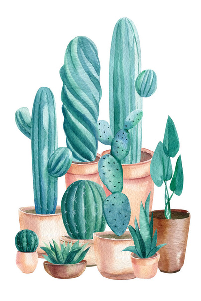Aquarelgroene cactussen en vetstoffen. Huis Planten in pot - Foto, afbeelding