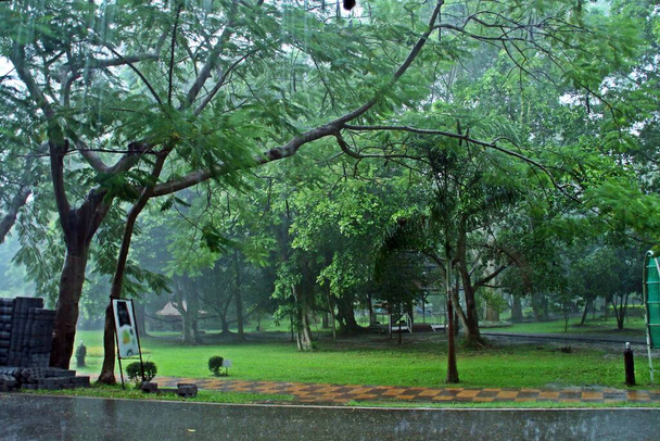 Pluie intense dans un parc de San Kamphaeng, Thaïlande. - Photo, image