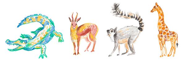 Conjunto de ilustraciones con cocodrilo, jirafa, lémur, gacela dibujada con lápices de cera. Clip art con animales sobre fondo blanco aislado con lápices pastel.. - Foto, Imagen