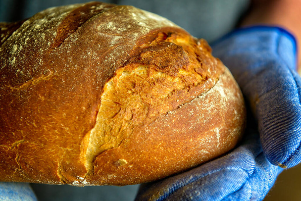 Традиционная пшеница и ржаной хлеб, испеченные дома, держатся в руках в защитных рукавицах духовки - Фото, изображение
