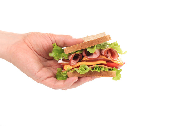 Fresh sandwich in hand. - 写真・画像
