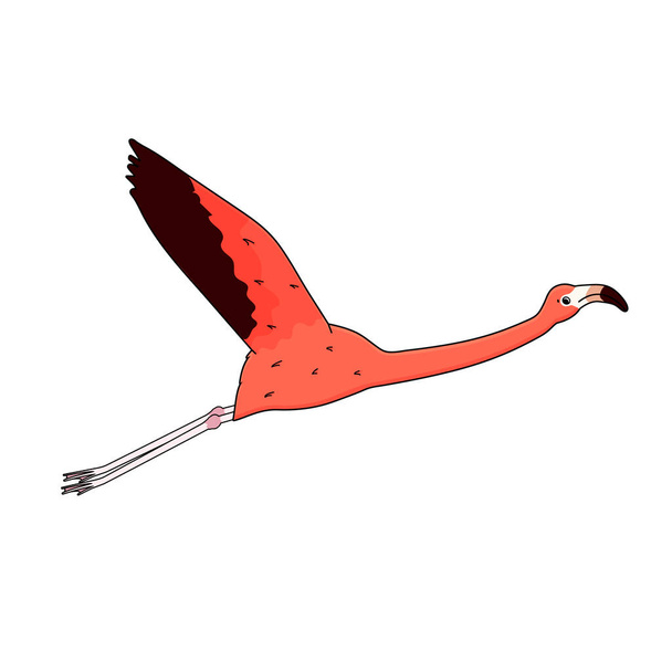 Vector schets cartoon roze perzik flamingo geïsoleerd op witte achtergrond. Doodle dier spreidt zijn vleugels en vliegen - Vector, afbeelding