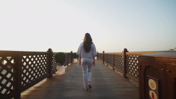 Niedriger Winkel Ansicht der Frau zu Fuß auf hölzernen Pier während des Sonnenuntergangs. Rückansicht attraktiver Touristinnen, die auf einem Pier mit Dubais Stadtbild im Hintergrund spazieren - Filmmaterial, Video