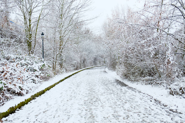 Ένας υπέροχος χιονισμένος δρόμος το χειμώνα με πολύ χιόνι - Φωτογραφία, εικόνα