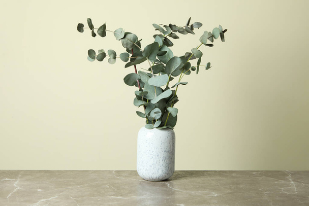Vase avec branches d'eucalyptus sur fond beige clair - Photo, image