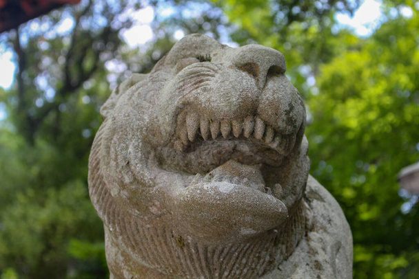 Komainu, czyli lew-pies, posąg w świątyni, Japonia. Komainu są strażnikami świątyń shinto i czasami świątyń, zazwyczaj w parach, jeden z otwartymi ustami, a drugi z zamkniętymi ustami. - Zdjęcie, obraz