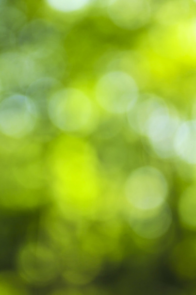 Green natural background of out of focus forest or bokeh - Zdjęcie, obraz