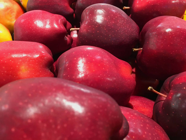 Желтые яблоки и красные деликатесные яблоки в пучке со стеблями - Фото, изображение