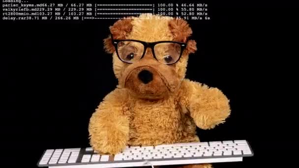 Teddy koira kirjoittamalla näppäimistöllä - Materiaali, video