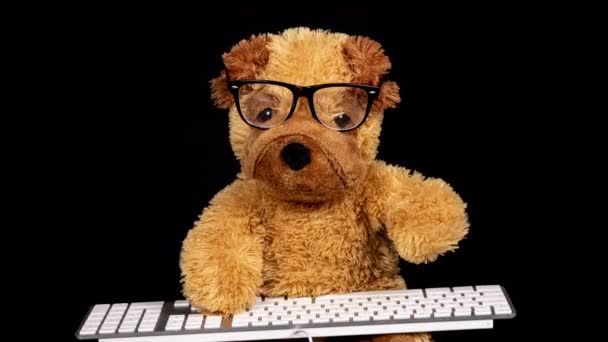 Teddy dog wpisujący na klawiaturze - Materiał filmowy, wideo