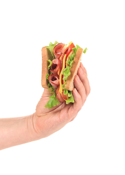 Hand holding tasty sandwich. - Фото, зображення