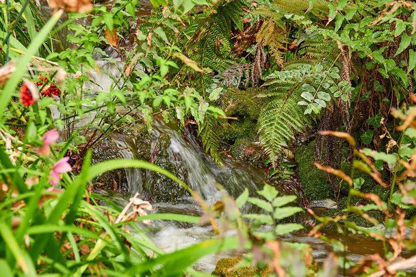 De stormachtige stroming van water in het bergachtige terrein loopt op de stenen die bedekt zijn met mos. - Foto, afbeelding