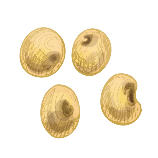 Oreilles au grain de sorgho. Illustration d'éclosion dessinée à la main couleur vectorielle vintage - Vecteur, image