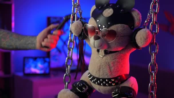 Teddy maci a bőr hámokban BDSM-kiegészítő kéz a neon fényben - Felvétel, videó