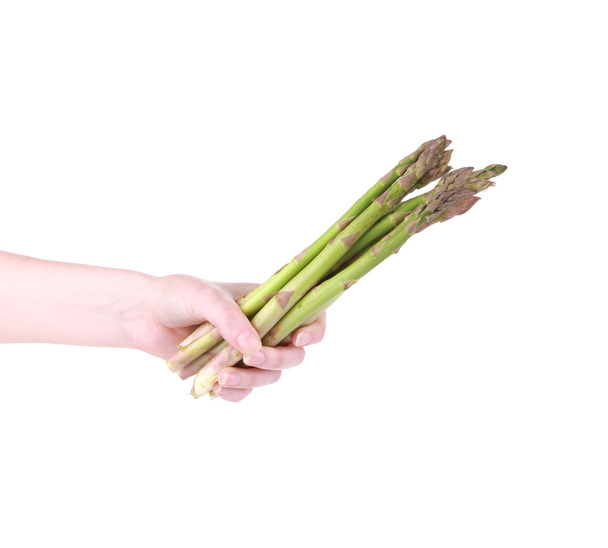 Bunch of fresh asparagus in hand. - Fotografie, Obrázek