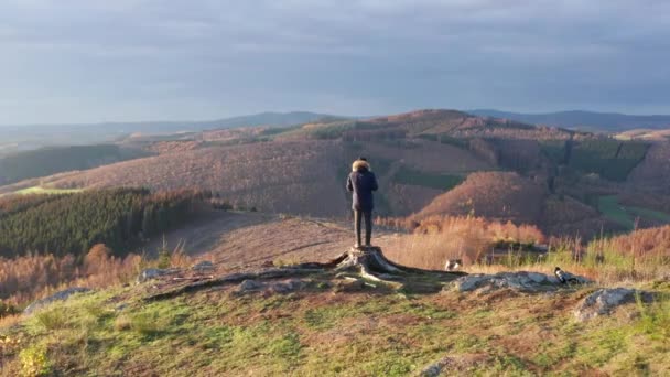 człowiek stoi w naturze sfilmowany z odsuniętym od niego ruchem w 4k - Materiał filmowy, wideo