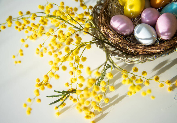 Paassamenstelling, felgekleurde eieren en gele mimosa op een zwarte achtergrond, schaduwen van planten, selectieve focus. - Foto, afbeelding