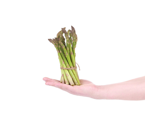 Bunch of fresh asparagus in hand. - Photo, image