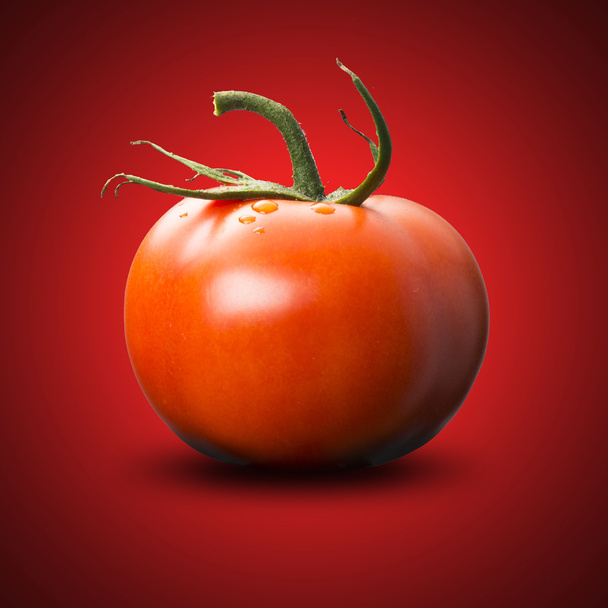 Fresh Tomato - Фото, изображение