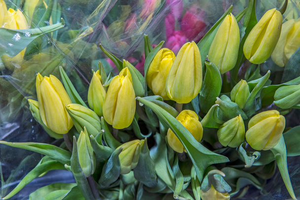 Красочные букеты тюльпанов в упаковке, готовые к продаже. Весенние цветы. Закрыть. - Фото, изображение