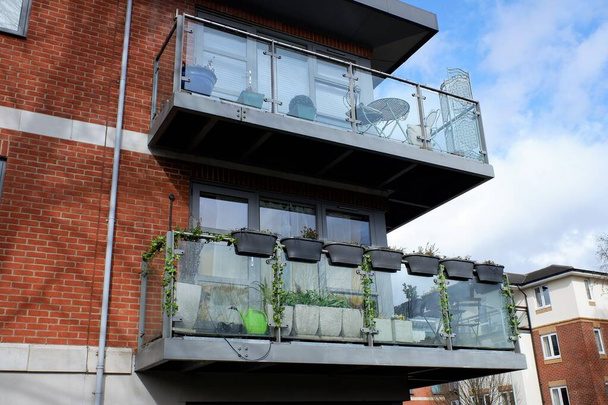 Glass apartment balconies used as garden space in town centre in the South East of England - Photo, Image