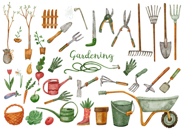 Big set with gardening farming tools. Watercolor illustration of watering can, hoe, bucket, hose, pitchfork, shovel, wheelbarrow, trowel, pruner, seedling tree, garden fork and rake isolated on white. - Photo, Image