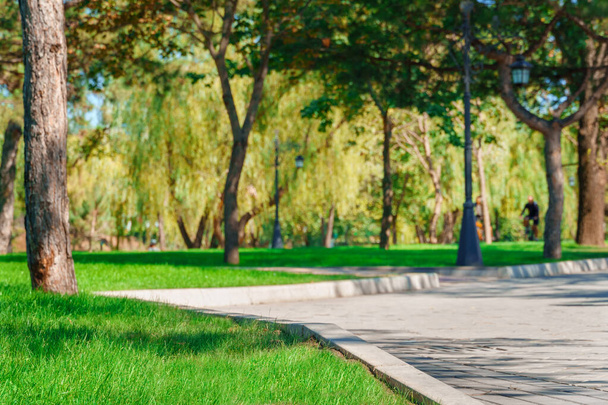 un ciclista monta en bicicleta en un parque de la ciudad, día de verano, césped verde con hierba y árboles, luz solar brillante y sombras - Foto, imagen