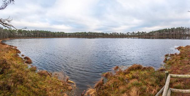 Panorama jeziora Girupe na szlaku turystycznym Ślepych Bagien na Łotwie w ponury i pochmurny zimowy dzień - Zdjęcie, obraz