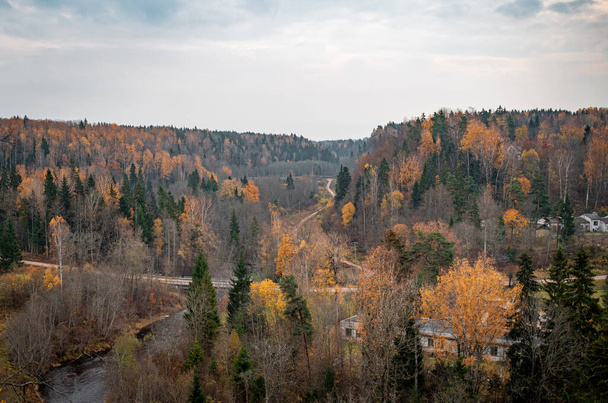 Légi kilátás az Amata folyóra és a környező erdőkre a lettországi Landscape Scarpból (Ainavu krauja) - Fotó, kép