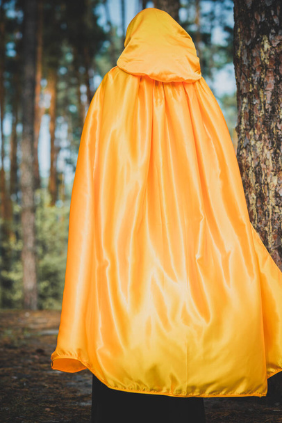 Mujer misteriosa con capa en el bosque. Ilustración a Halloween u otra historia de miedo - Foto, imagen