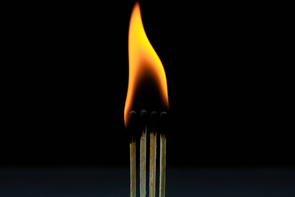 Burning match on a black background. Several matches are burning against a dark background. Burning in the dark - Photo, Image