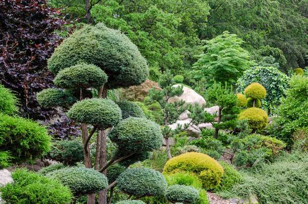 Vista jardim japonês com um monte de árvores em forma e pedras. - Foto, Imagem