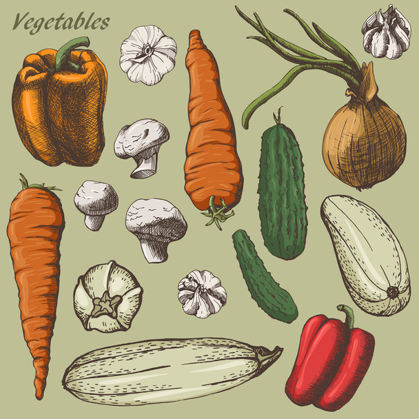 Vegetebles colour set - Vector, Image