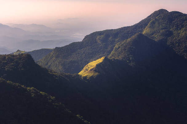 Górski krajobraz dżungli z punktu widzenia Mini World 's End ze wschodem słońca lub zachodem słońca złote światło w Parku Narodowym Horton Plains w środkowych wyżynach Sri Lanki. - Zdjęcie, obraz