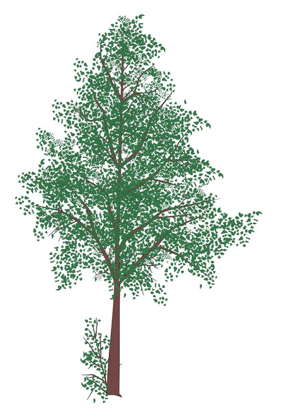 векторное дерево с листьями - Вектор,изображение