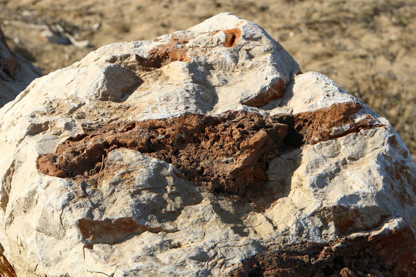 北イスラエルの山の中の山の岩や大きな石の質感  - 写真・画像