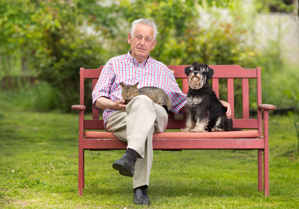 Hombre mayor con mascotas
 - Foto, Imagen