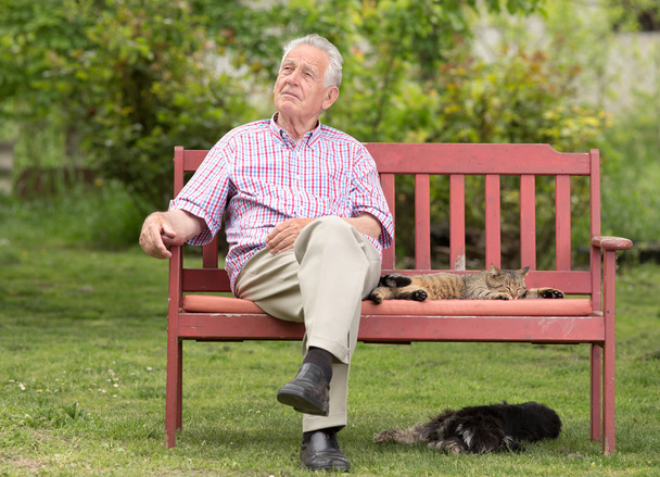 Homme âgé avec des animaux domestiques
 - Photo, image