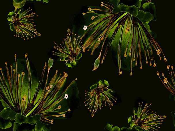 Цветочный узор моды. Большой гавайский бесшовный отпечаток на зеленом фоне. Большой Летний Акварель Маракуйя. Случайный цветочный узор. - Фото, изображение