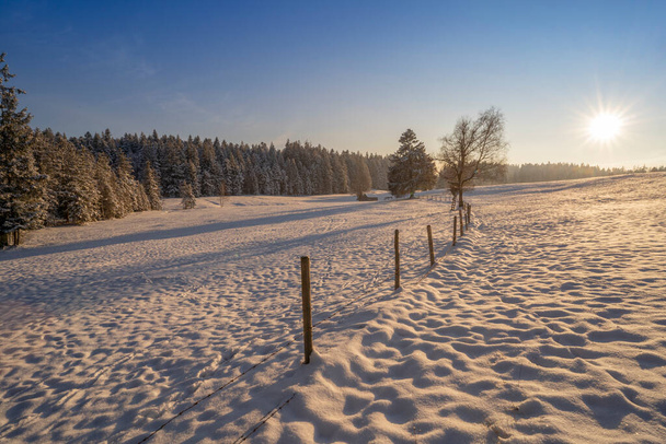 tranquilo paisaje invernal al atardecer con nieve fresca en polvo en los Alpes de Allgaeu, Baviera, Alemania - Foto, imagen