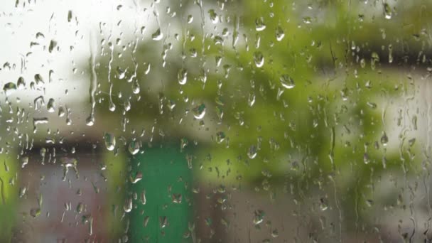 Dešťové kapky na okenní tabuli. Deštivé počasí. Podzimní přírodní pozadí - Záběry, video