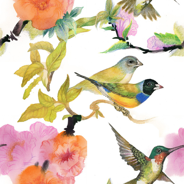 Aves selvagens e flores
 - Foto, Imagem