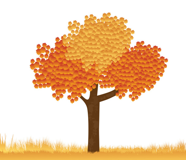 Árbol de otoño
 - Vector, imagen