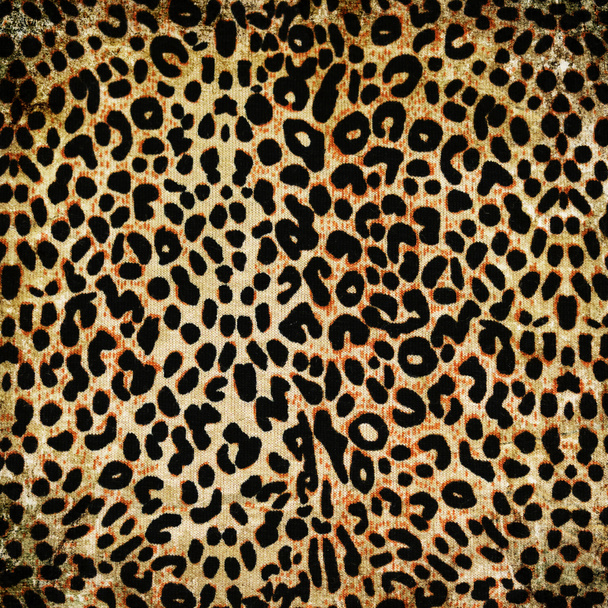 Леопардовый узор - Фото, изображение