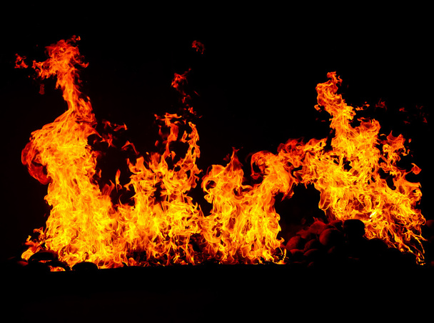 fire burning in black background - Photo, Image