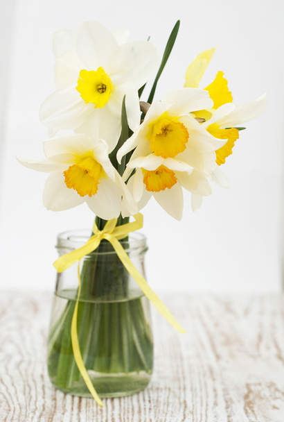 daffodils - Foto, Imagen