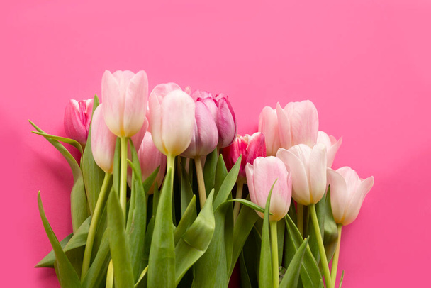Boeket tulpen. Prachtige achtergrond van delicate tulpen op een trendy roze achtergrond. Briefkaart voor vrouwendag op 8 maart, moederdag. Feestconcept. - Foto, afbeelding