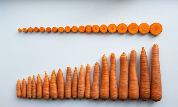 Carrots on a white background.Whole carrots and cut into pieces.The carrots are sorted by size from smallest to largest. Flat lay. - Photo, Image