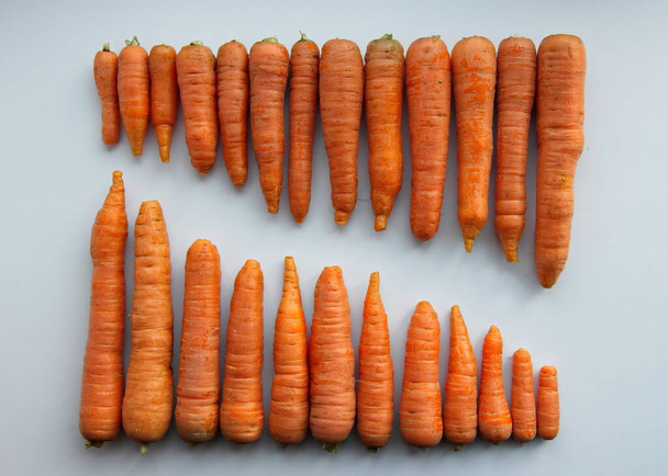 Carrots on a white background.The carrots are sorted by size from smallest to largest. Flat lay. - Photo, Image